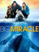 Big Miracle