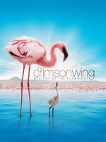 Crimson Wing The Mystery Of The Flamingos
