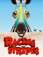 Racing Stripes