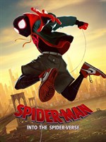 Spider Man Into The Spider Verse